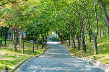 소래빛도서관 여행 추천 - 메고지고
