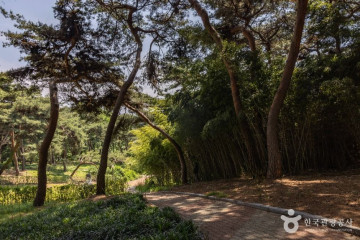 SK하이닉스 문화센터 여행 추천 - 메고지고