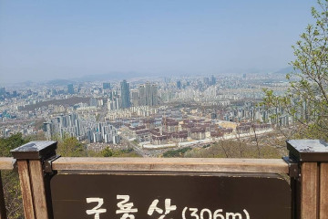 분재박물관 여행 추천 - 메고지고