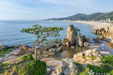 백경펜션오토캠핑장 여행 추천 - 메고지고
