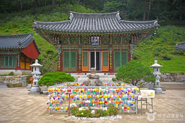[강릉 바우길 3구간] 어명을 받은 소나무길 여행 추천 - 메고지고