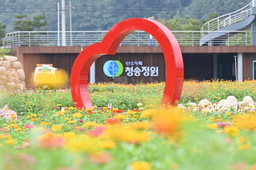 청송 신기리 느티나무 여행 추천 - 메고지고