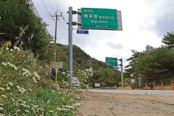 국립춘천숲체원 여행 추천 - 메고지고