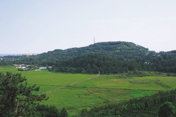숨도 여행 추천 - 메고지고