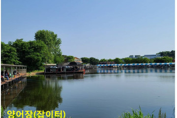 화성 은행나무마을 여행 추천 - 메고지고