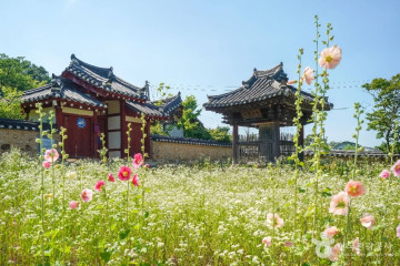 남평문씨본리세거지 여행 추천 - 메고지고
