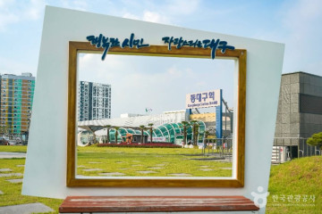 심플책방 여행 추천 - 메고지고