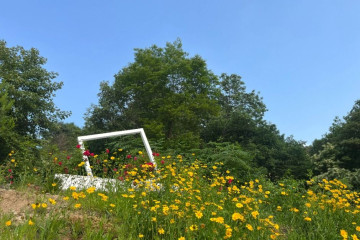 개똥이네 캠핑장 여행 추천 - 메고지고
