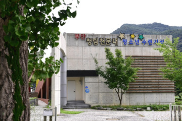 청림리 석불좌상 여행 추천 - 메고지고