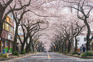 용담공원 여행 추천 - 메고지고