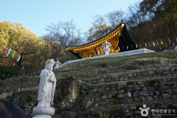 함안 영동리 회화나무 여행 추천 - 메고지고
