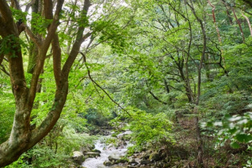 천국사(김제) 여행 추천 - 메고지고