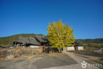 거류산 여행 추천 - 메고지고