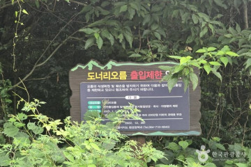 제주아트서커스 여행 추천 - 메고지고