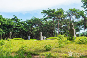 청호저수지 여행 추천 - 메고지고