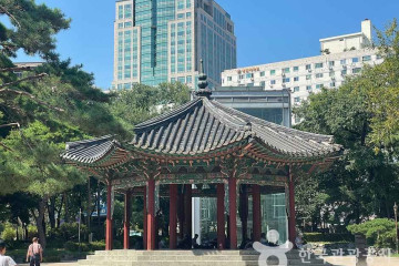 탑골공원 여행 추천 - 메고지고