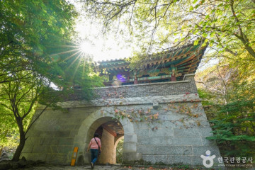 대성글램핑 여행 추천 - 메고지고
