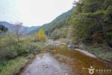 봉화 서동리 동ㆍ서 삼층석탑 여행 추천 - 메고지고