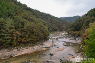 봉화산사 여행 추천 - 메고지고