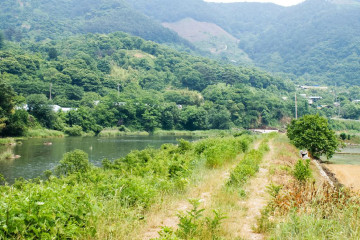 청암 하동호 산중호수길 여행 추천 - 메고지고