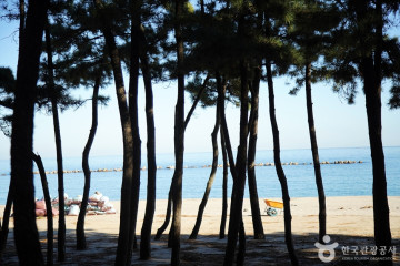 궁촌해변(궁촌해수욕장) 여행 추천 - 메고지고