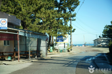 삼척 맹방 유채밭 여행 추천 - 메고지고