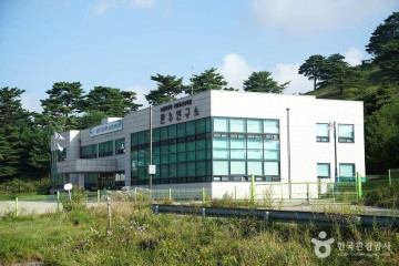 고랭지만두마을 여행 추천 - 메고지고