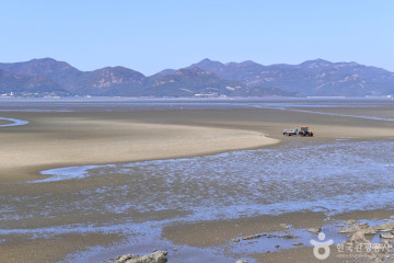 해리마을 여행 추천 - 메고지고