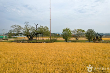 충절사·상의재 여행 추천 - 메고지고
