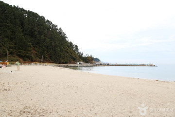 시방선착장 여행 추천 - 메고지고