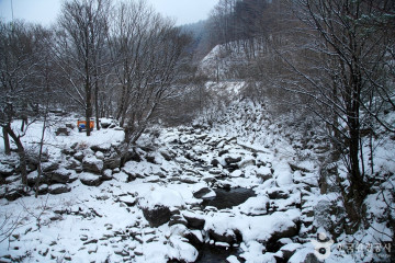 코끼리캠핑장 여행 추천 - 메고지고