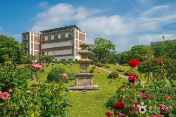 대구 평화시장 닭똥집 골목 여행 추천 - 메고지고