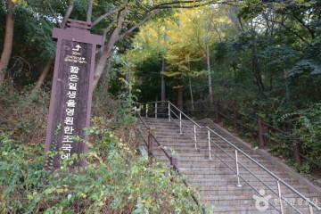 남산서울타워 여행 추천 - 메고지고