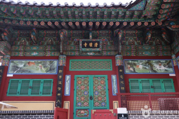 경희대학교 자연사박물관 여행 추천 - 메고지고