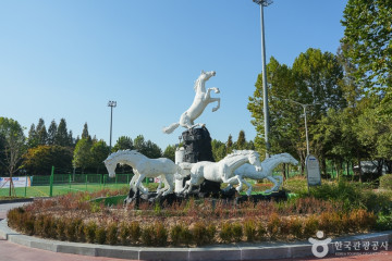 여성문화회관 수영장(실내) 여행 추천 - 메고지고