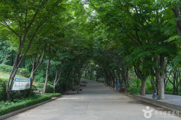 계산국민체육센터 여행 추천 - 메고지고