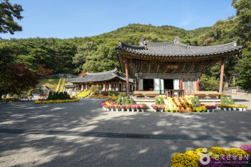 법주사(군위) 여행 추천 - 메고지고