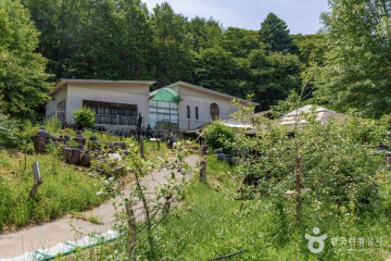더 초리골 여행 추천 - 메고지고