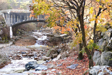 농업회사법인삼산도가주식회사 여행 추천 - 메고지고
