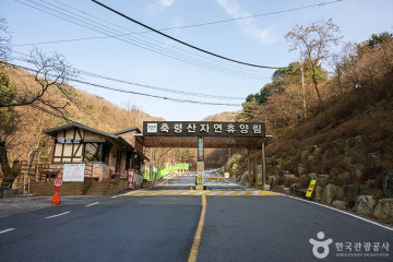 축령산 여행 추천 - 메고지고