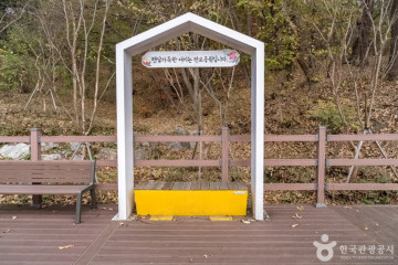 판교박물관 여행 추천 - 메고지고