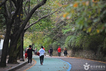 팔달산 여행 추천 - 메고지고