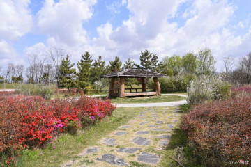 오성산 여행 추천 - 메고지고