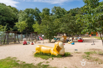 문성지 여행 추천 - 메고지고