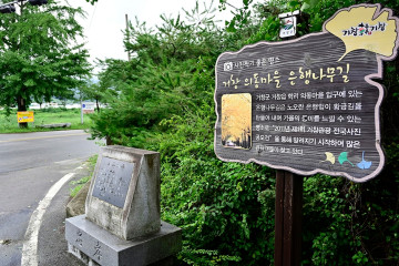 서변정보화마을 여행 추천 - 메고지고