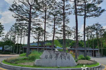 여주곤충박물관 여행 추천 - 메고지고