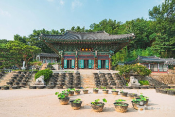 무악산 동봉수대 터 여행 추천 - 메고지고