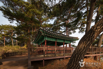 인구항 배낚시 여행 추천 - 메고지고
