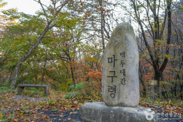 주막거리캠프 여행 추천 - 메고지고
