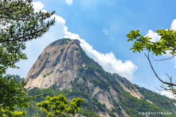 도선사(서울) 여행 추천 - 메고지고